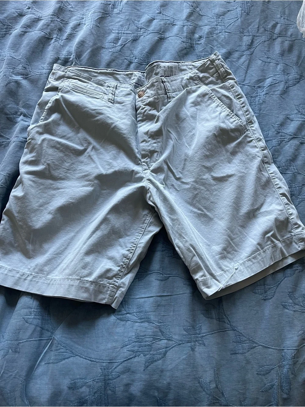American Eagle Outfitters Light Blue Men’s Chino Shorts